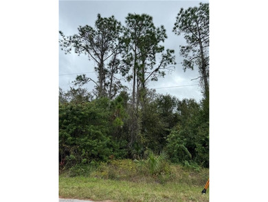 Lehigh Acres Area Lot For Sale in Lehigh Acres Florida