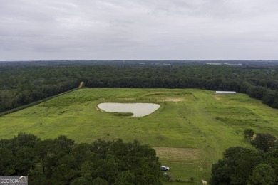 Lake Acreage For Sale in Pavo, Georgia