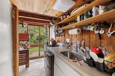 Historic Laguna Beach cottage compound in the heart of Laguna - photo 34