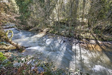 Your chance to own one of the largest homes in Big Valley Woods - photo 40