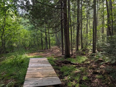 Welcome to the pristine shores of Birch Lake! Home and guest - photo 41