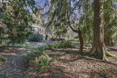 Your chance to own one of the largest homes in Big Valley Woods - photo 41