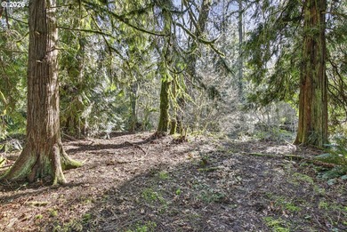 Your chance to own one of the largest homes in Big Valley Woods - photo 42