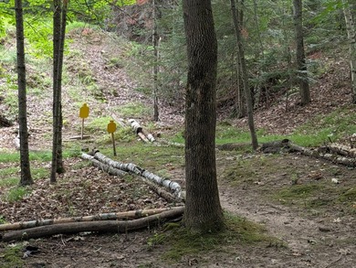 Welcome to the pristine shores of Birch Lake! Home and guest - photo 44