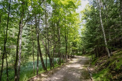 Welcome to the pristine shores of Birch Lake! Home and guest - photo 46