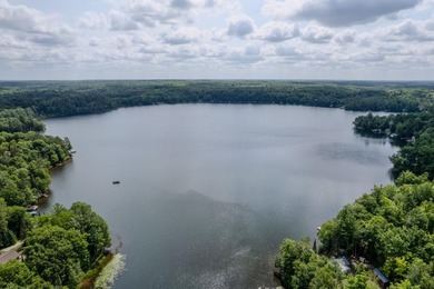 Welcome to the pristine shores of Birch Lake! Home and guest - photo 49