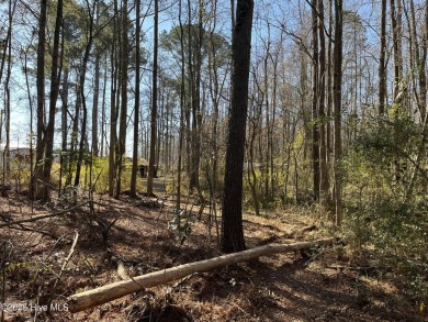 (private lake, pond, creek) Acreage Sale Pending in Pink Hill North Carolina