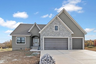 (private lake, pond, creek) Home For Sale in Raymore Missouri