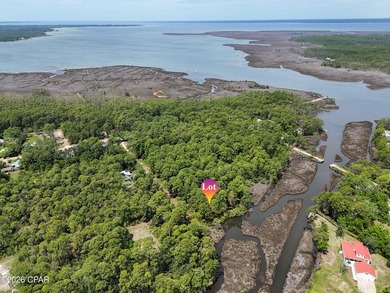 **Waterfront Homesite on Hogtown Bayou - Walton County - photo 11
