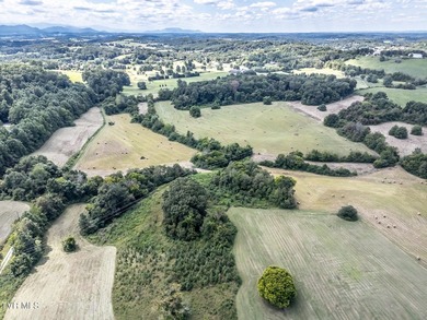 LOCATION, LOCATION, LOCATION! 66.7 ACRES in the City of - photo 1