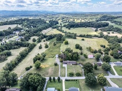 LOCATION, LOCATION, LOCATION! 66.7 ACRES in the City of - photo 6