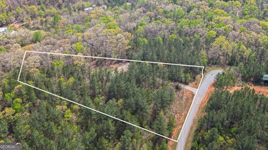 Come build your dream home on this 2.47 AC lot. Features include - photo 4