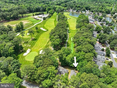 What a view looking straight down the 3rd fairway of the Ocean - photo 11