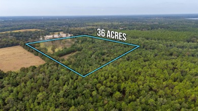 Lake Acreage For Sale in Florala, Alabama
