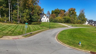 Enjoy over 2.94 acres overlooking the challenging 9th hole of