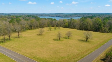 Lay Lake Lot For Sale in Sylacauga Alabama
