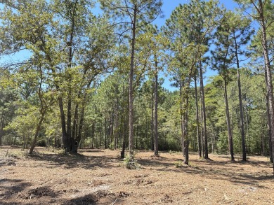 Lake Marion Acreage For Sale in Cross South Carolina