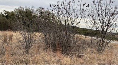 Beautiful live oaks will make a great backdrop for your new home - photo 2