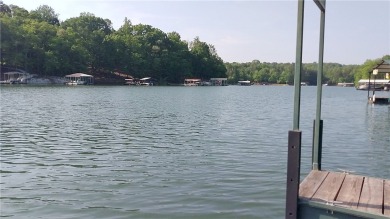 Lake Lot For Sale in Lavonia, Georgia