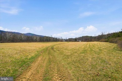 Hunt! Fish! Build! Rent! Develop! Divide! Homestead! Yes, the - photo 6