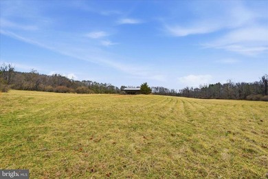 Hunt! Fish! Build! Rent! Develop! Divide! Homestead! Yes, the - photo 7