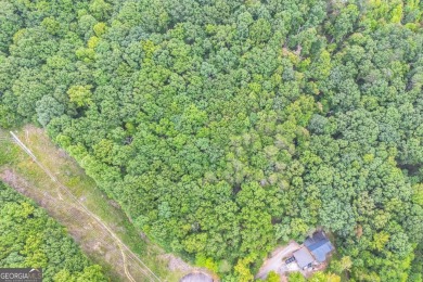 Jakes Lake Acreage For Sale in Cleveland Georgia