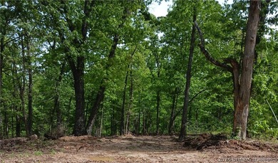 If you are looking for seclusion and serenity on an attractive 6 - photo 1