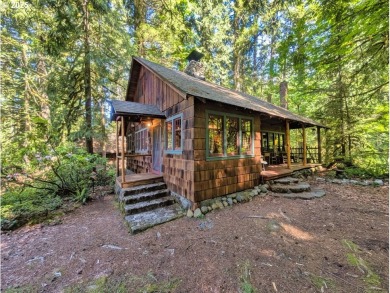 (private lake, pond, creek) Home For Sale in Rhododendron Oregon