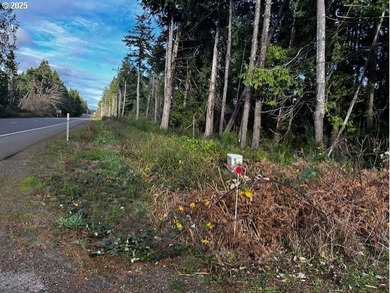 Nice 6+ acre building site on Northside of Siltcoos Lake with - photo 14