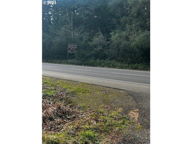 Nice 6+ acre building site on Northside of Siltcoos Lake with - photo 15