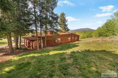 A rare opportunity to own one of Island Park's premier legacy - photo 5