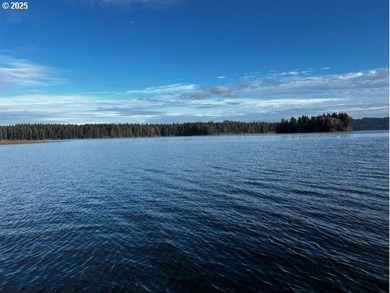 Nice 6+ acre building site on Northside of Siltcoos Lake with - photo 17