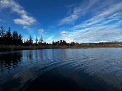 Nice 6+ acre building site on Northside of Siltcoos Lake with - photo 18