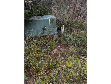 Nice 6+ acre building site on Northside of Siltcoos Lake with - photo 19