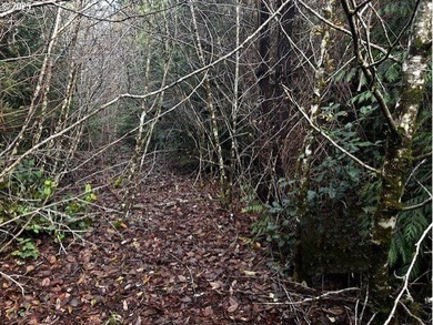 Nice 6+ acre building site on Northside of Siltcoos Lake with - photo 20