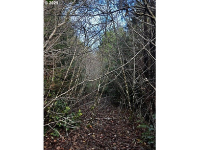 Nice 6+ acre building site on Northside of Siltcoos Lake with - photo 21