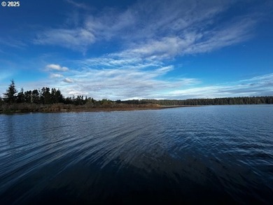 Nice 6+ acre building site on Northside of Siltcoos Lake with - photo 28