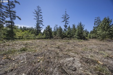 Nice 6+ acre building site on Northside of Siltcoos Lake with - photo 29