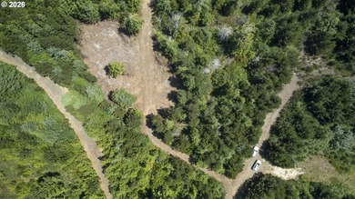 Nice 6+ acre building site on Northside of Siltcoos Lake with - photo 30