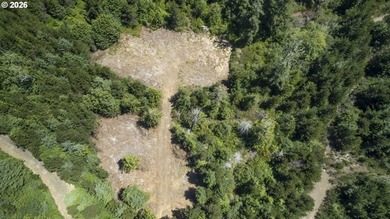 Nice 6+ acre building site on Northside of Siltcoos Lake with - photo 31