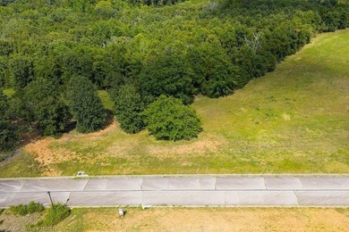 Premier Gated Community, Vista Views, Estate Sized lot - photo 2