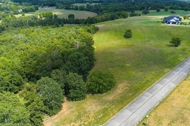 Premier Gated Community, Vista Views, Estate Sized lot - photo 3