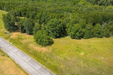 Premier Gated Community, Vista Views, Estate Sized lot - photo 4
