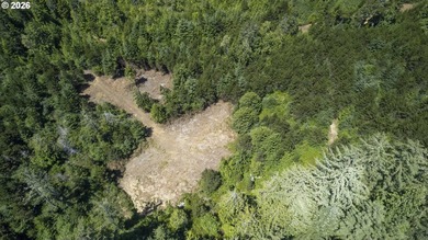 Nice 6+ acre building site on Northside of Siltcoos Lake with - photo 35