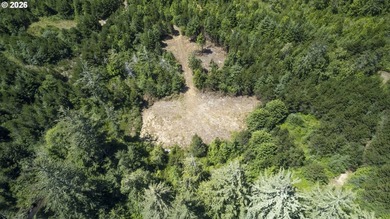 Nice 6+ acre building site on Northside of Siltcoos Lake with - photo 36
