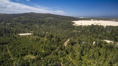 Nice 6+ acre building site on Northside of Siltcoos Lake with - photo 37