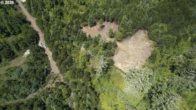 Nice 6+ acre building site on Northside of Siltcoos Lake with - photo 38