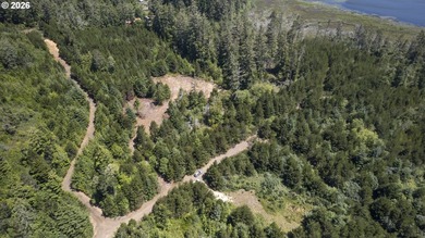 Nice 6+ acre building site on Northside of Siltcoos Lake with - photo 40
