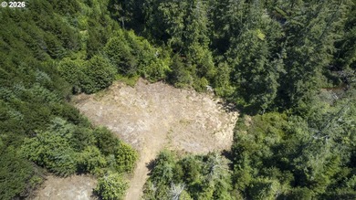 Nice 6+ acre building site on Northside of Siltcoos Lake with - photo 41