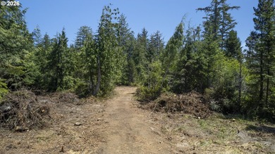 Nice 6+ acre building site on Northside of Siltcoos Lake with - photo 42